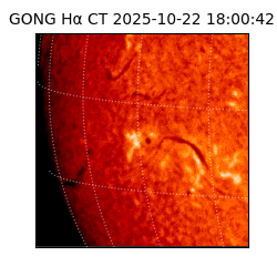gong - 2025-10-22T18:00:42