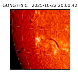 gong - 2025-10-22T20:00:42