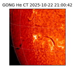 gong - 2025-10-22T21:00:42