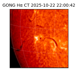 gong - 2025-10-22T22:00:42