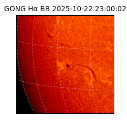 gong - 2025-10-22T23:00:02