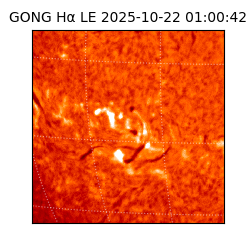 gong - 2025-10-22T01:00:42