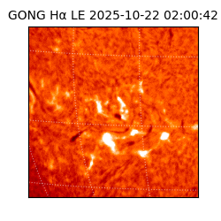 gong - 2025-10-22T02:00:42