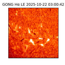 gong - 2025-10-22T03:00:42