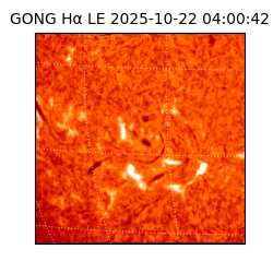 gong - 2025-10-22T04:00:42