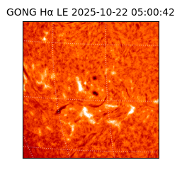 gong - 2025-10-22T05:00:42