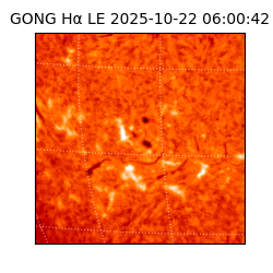 gong - 2025-10-22T06:00:42