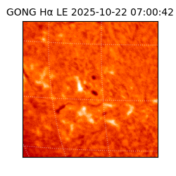 gong - 2025-10-22T07:00:42