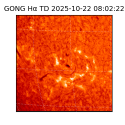 gong - 2025-10-22T08:02:22