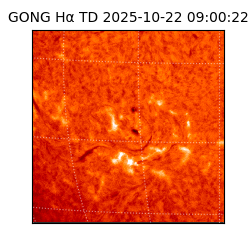 gong - 2025-10-22T09:00:22