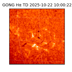 gong - 2025-10-22T10:00:22