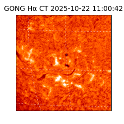 gong - 2025-10-22T11:00:42