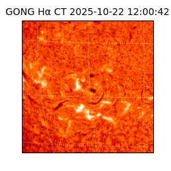 gong - 2025-10-22T12:00:42