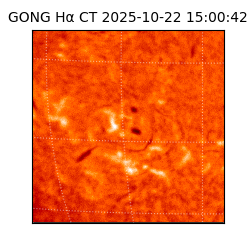 gong - 2025-10-22T15:00:42