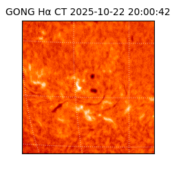 gong - 2025-10-22T20:00:42