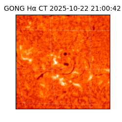 gong - 2025-10-22T21:00:42