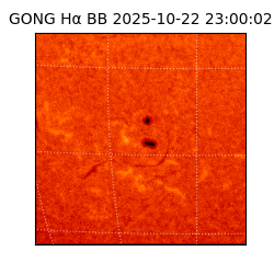 gong - 2025-10-22T23:00:02