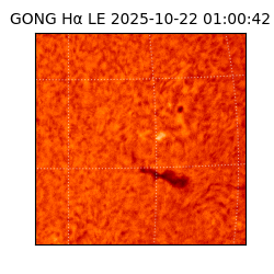 gong - 2025-10-22T01:00:42