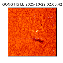 gong - 2025-10-22T02:00:42