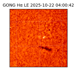 gong - 2025-10-22T04:00:42