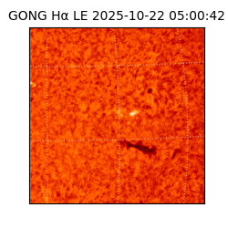 gong - 2025-10-22T05:00:42