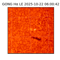 gong - 2025-10-22T06:00:42