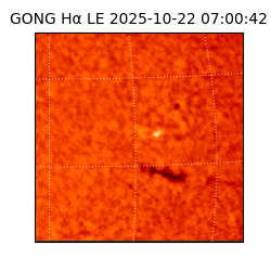gong - 2025-10-22T07:00:42
