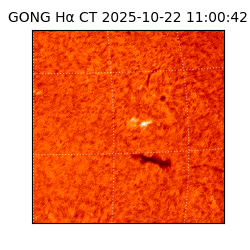 gong - 2025-10-22T11:00:42