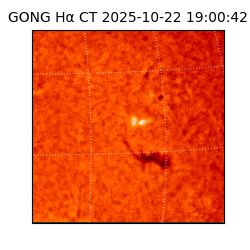 gong - 2025-10-22T19:00:42