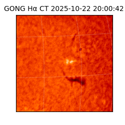 gong - 2025-10-22T20:00:42