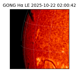 gong - 2025-10-22T02:00:42