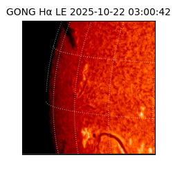 gong - 2025-10-22T03:00:42