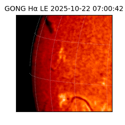 gong - 2025-10-22T07:00:42