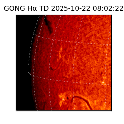 gong - 2025-10-22T08:02:22