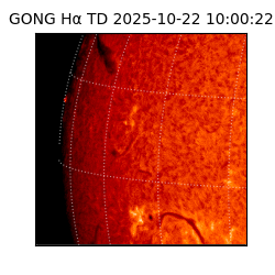 gong - 2025-10-22T10:00:22