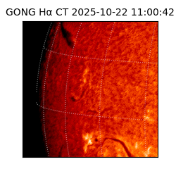 gong - 2025-10-22T11:00:42
