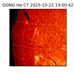 gong - 2025-10-22T19:00:42