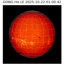 gong - 2025-10-22T01:00:42
