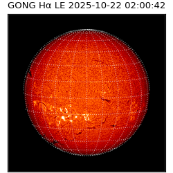 gong - 2025-10-22T02:00:42