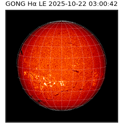 gong - 2025-10-22T03:00:42
