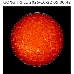 gong - 2025-10-22T05:00:42