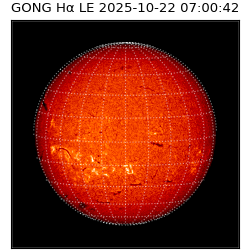 gong - 2025-10-22T07:00:42