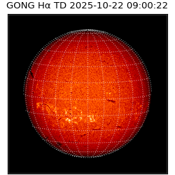 gong - 2025-10-22T09:00:22