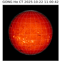 gong - 2025-10-22T11:00:42