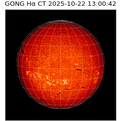 gong - 2025-10-22T13:00:42