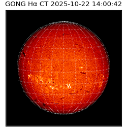 gong - 2025-10-22T14:00:42