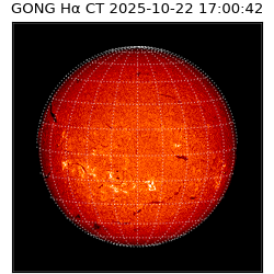 gong - 2025-10-22T17:00:42