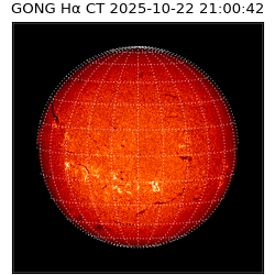 gong - 2025-10-22T21:00:42