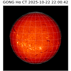 gong - 2025-10-22T22:00:42