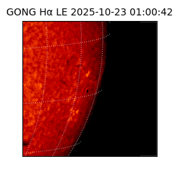 gong - 2025-10-23T01:00:42